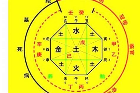 八字五行命盤|生辰八字算命、五行喜用神查詢（免費測算）